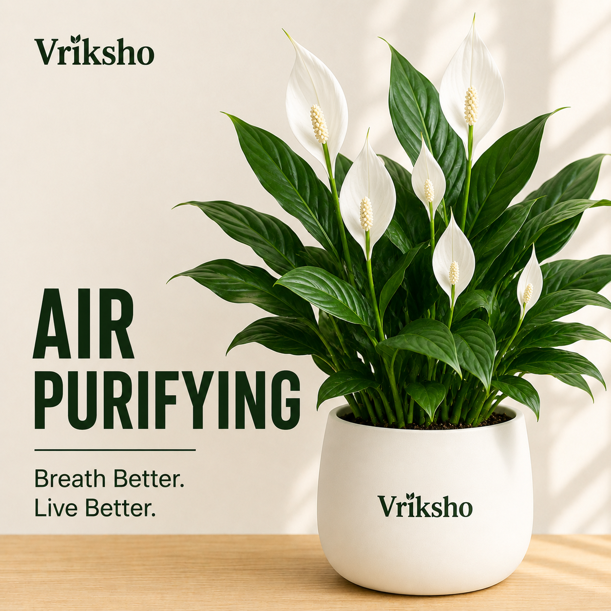 Air Purifying Plants