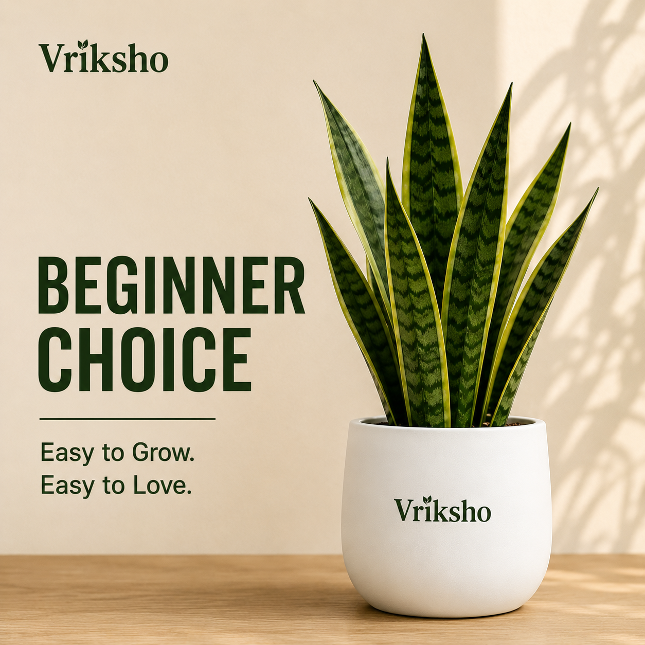 Beginner Choice