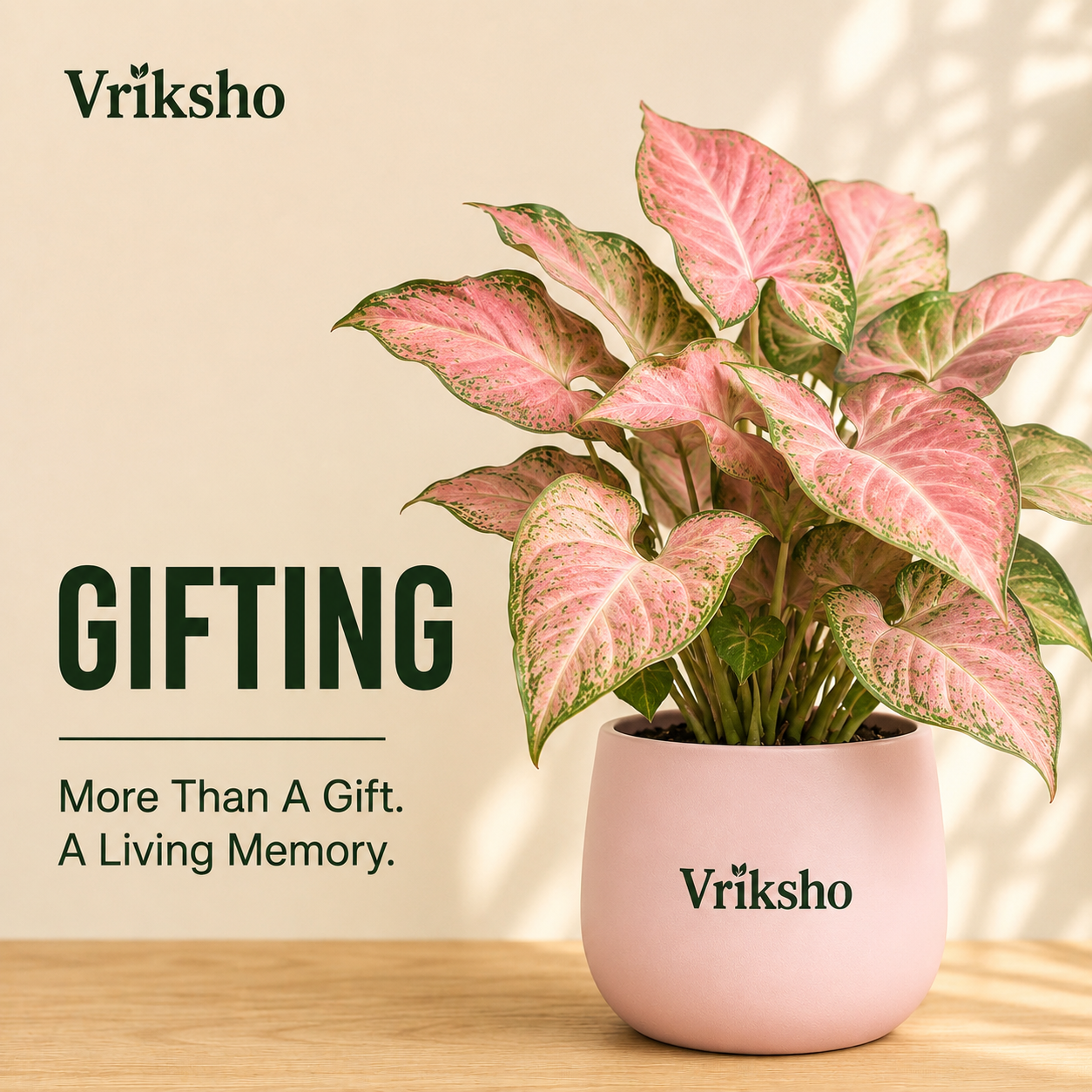 Gift Collection