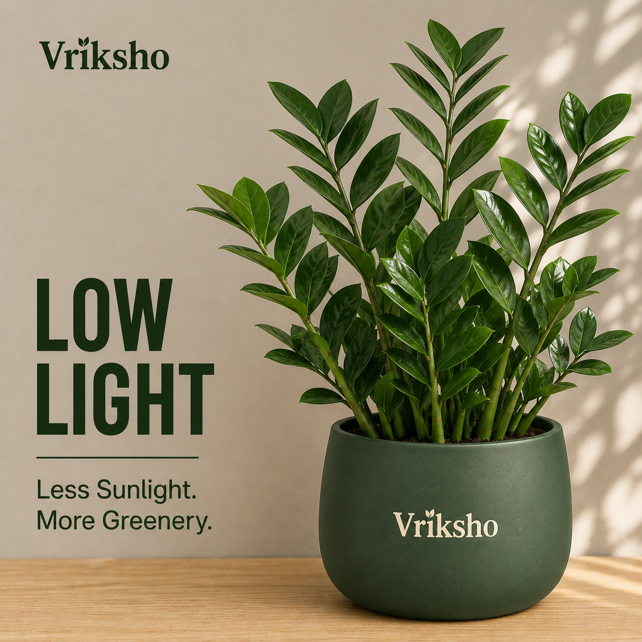 Low Light Plants
