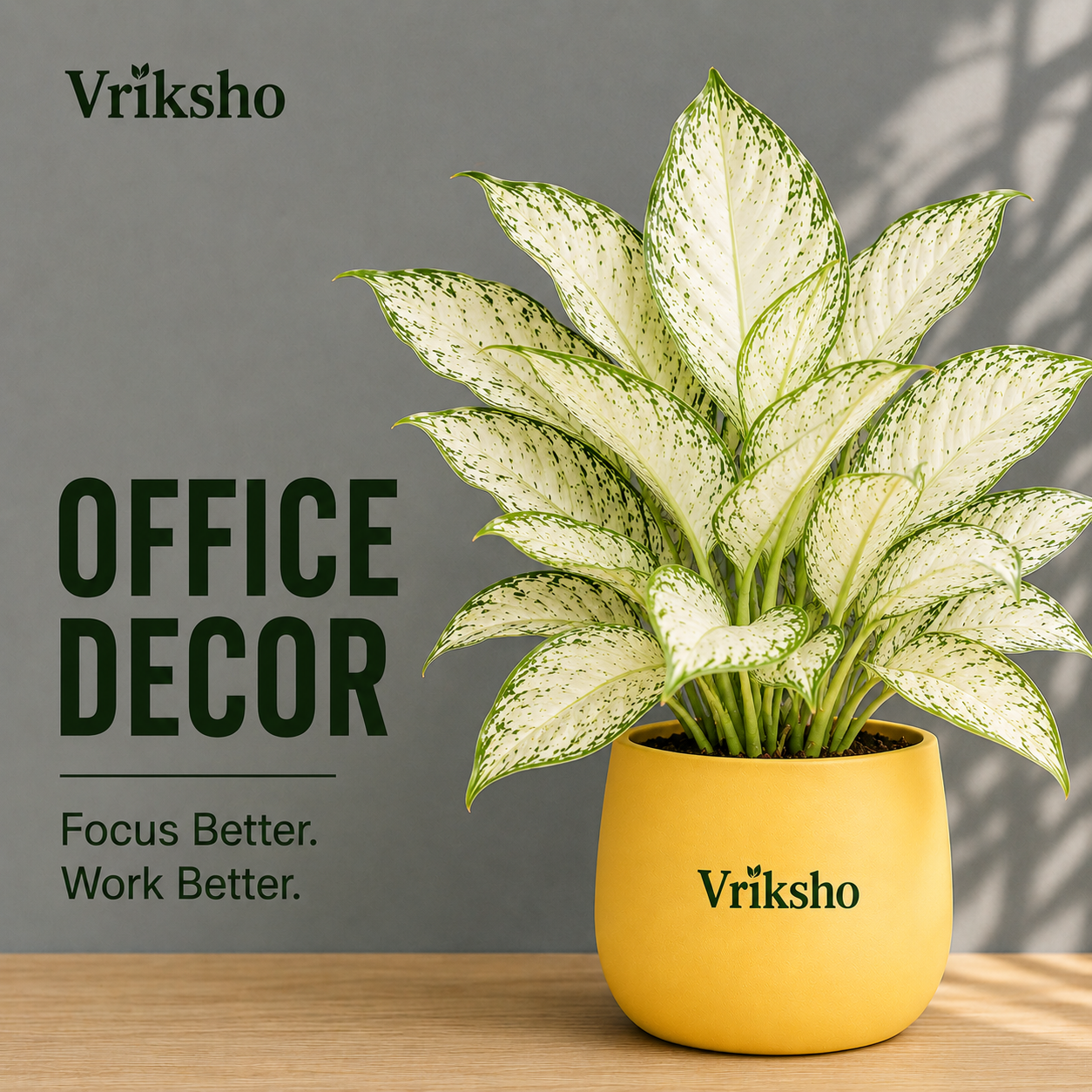 Office Decor